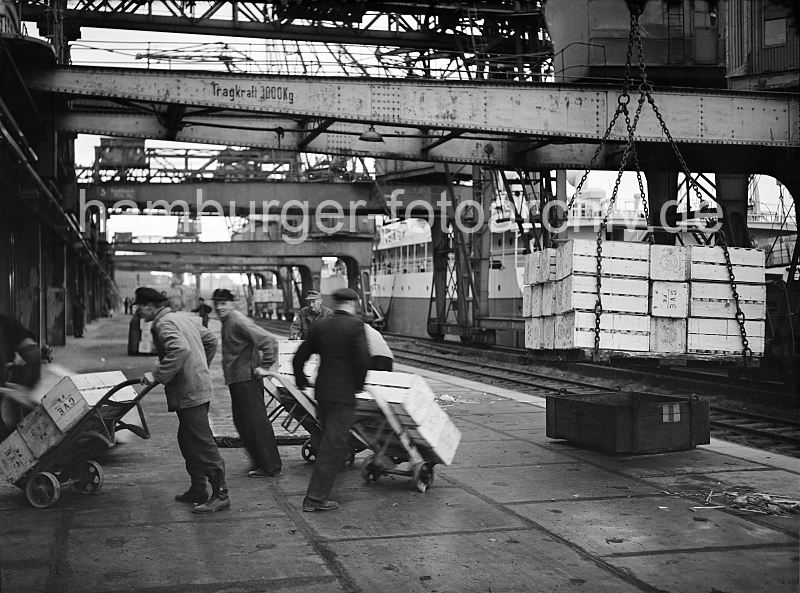 4532_1 Die Apfelsinen werden vom Frachter gelscht; der Kran stellte die Ladung auf dem Hafenkai ab. Auf dem Ausleger des Halbportalkrans ist die Tragkraft von 3000 kg. eingetragen - rechts sind die Laufrder des Krans auf der Schiene zu erkennen. Hafenarbeiter haben ihre Sackkarre mit jeweils drei Apfelsinenkisten beladen und fahren ihre Fuhre in der Lagerschuppen.  Apfelsinenkisten Verladung; Halbportalkran / Sdwesthafen, Windhukkai 1949 - historische Hafenbilder aus dem Archiv der HHLA. alte Motive aus dem Hamburger Hafen - Drucke auf Fotoleinwand / 