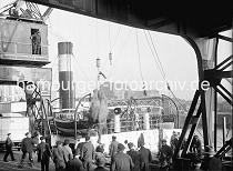 02255_579a Der Zirkuselefant hngt am Kranhaken und wird vom Frachtschiff, dass das Tier nach Hamburg gebracht hat an Land transportiert. Eine Menge Schaulustige haben sich auf dem Kai des Magdeburger Hafens versammelt, um dem auergewhnlichen Ereignis zuzusehen.