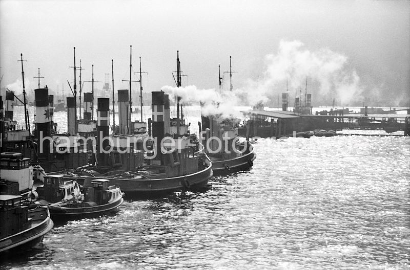 186_6 Die Schlepper mit ihren hohen Schornsteinen liegen an einem Ponton vor Hamburg St. Pauli - einige sind unter Dampf, so dass diese Arbeitsschiffe sofort losfahren knnen. Schlepper auf der Elbe / Hamburg St. Pauli, 1955 - historische Hafenmotive aus dem Archiv der Hamburger Hafen und Logistik AG, HHLA. historische Hamburg Fotos als Geschenk fr Bro. 