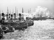 186_6 Die Schlepper mit ihren hohen Schornsteinen liegen an einem Ponton vor Hamburg St. Pauli - einige sind unter Dampf, so dass diese Arbeitsschiffe sofort losfahren können. 