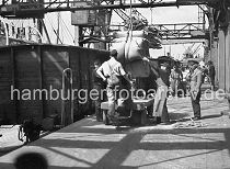 439_04 Arbeit im Hamburger Hafen ca. 1948; ein Frachter wird im Rohafen gelscht. Der Kran bringt die Scke aus dem Frachtraum des Schiffs an Land - Kaiarbeiter nehmen die Ladung in Empfang. Auf einem Elektrokarren werden die Scke in den Lagerschuppen gebracht. Im Hintergrund arbeiten weitere Krane und bringen Scke an Land - Hafenarbeiter transportieren das Sackgut mit Sackkarren. Gterwaggons stehen auf der Gleisanlage direkt an der Laderampe der Lagerschuppen.