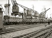 444_11 Am Holthusenkai an der Norderelbe verstauen Hafenarbeiter Papierholz in offene Bahnwaggons der Baureihe BRESLAU. Im Freiladeverkehr wurden die verschiedensten Massengter vom Schiff direkt auf die Bahn umgeschlagen. Dicht nebeneinander stehen die Hafenkrane am Kai; jeder ist fr die Beladung eines Waggons zustndig.