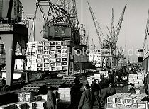462_09_h Die Ladung Apfelsinen eines Frachtschiffs wird im Hansahafen gelöscht. Portalkräne laden die Kisten auf dem Kai ab - dort stapeln Arbeiter sie auf Holzpaletten, die dann mit Gabelstaplern in den Fruchtschuppen gebracht werden.