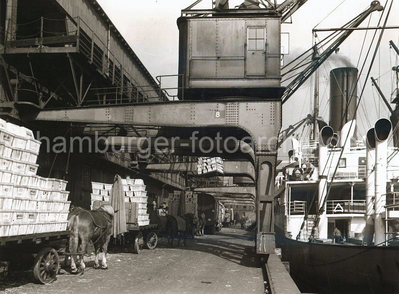 Fruchtschuppen C - Ladung lschen eines Frachtdampfers - Pferdefuhrwerke, Hafenkrane.  465_061_29 Eine Hieve mit Fruchtkisten wird gerade mit einem Kran aus dem Frachtschiff entladen und schwebt ber den wartenden Pferdefuhrwerken, die schon mit Kisten beladen sind. Im Hintergrund stehen Lastwagen vor dem Fruchtschuppen C des Magdeburger Hafens.