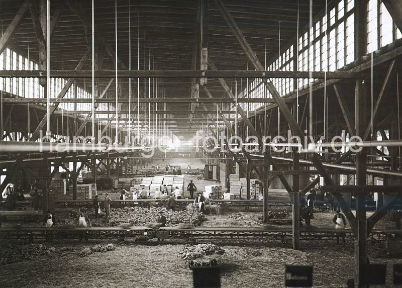 Historische Hamburg Bilder als Kunstdruck zum Geburtstag, Jubilum, Weihnachten. Bananenschuppen der HHLA am Segelschiffhafen / Amsinckkai; ca. 1936. 466_061_45 Lagerarbeiter im Bananenschuppen 48 am Amsinckkai des Segelschiffhafens prfen die Qualitt der Ware und legen sie auf ein Frderbahn. Die meisten der Hafenarbeiter tragen weisse Schrzen bei ihrer Arbeit.