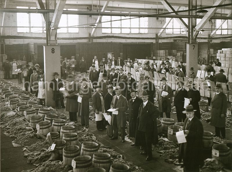 Alte Hafenbilder aus dem Fotoarchiv der Hamburger Hafen und Logistik AG (HHLA)- Fruchtauktion Fruchtschuppen 22 der HHLA, Baakenhafen - Versmannkai; ca. 1930.468_061_34 Die Fsser mit den Weintrauben sind geffnet, die Frchte sind zur Begutachtung ausgestellt. Die Fruchtaukiton findet im klimatisierten Lagerschuppen 22 am Versmannkai des Baakenhafens statt.