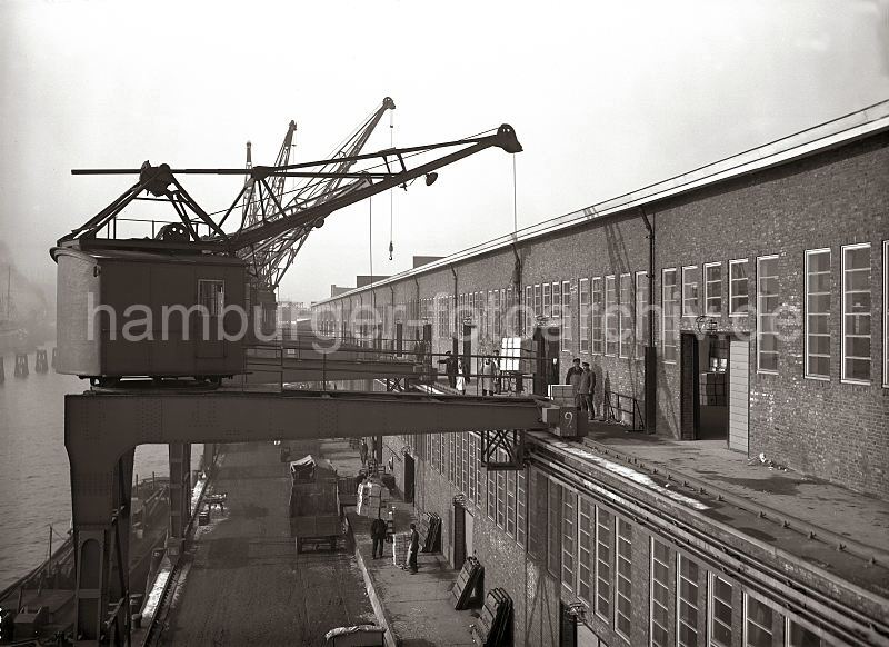 Alte Hafenfotografien aus dem Archiv der Hamburger Hafen und Logistik AG HHLA. Fotos von der Geschichte Hamburgs - Arbeit im Hafen Hamburg. 473_192 Das Lschen des Frachters erfolgt ber die Halbportalkrane - einer der Hafenkrne stellt seine Ladung auf der Galerie ab, whrend der andere Kran die Hieve Fruchtkisten auf der Laderampe am Kai abldt. Lastwagen mit Anhnger warten auf ihre Fracht.