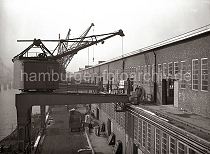 473_192 Das Lschen des Frachters erfolgt ber die Halbportalkrane - einer der Hafenkrne stellt seine Ladung auf der Galerie ab, whrend der andere Kran die Hieve Fruchtkisten auf der Laderampe am Kai abldt. Lastwagen mit Anhnger warten auf ihre Fracht. 