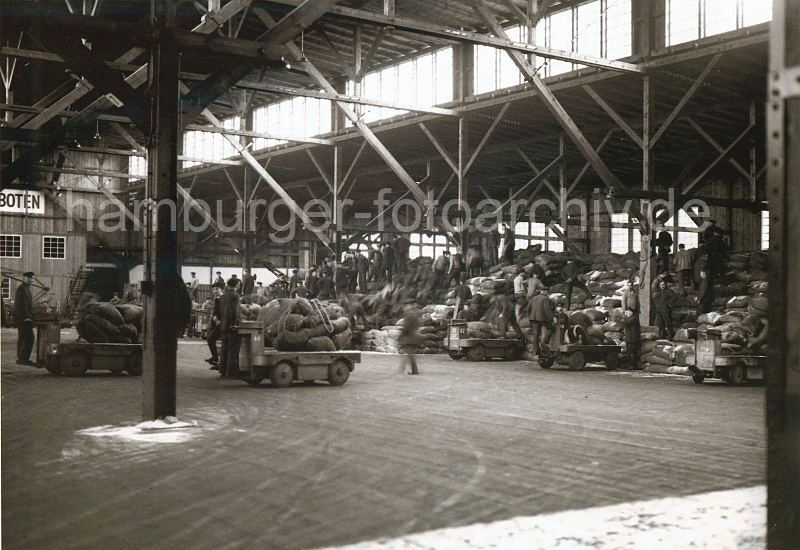 historische Bilder der Arbeit im Hafen - Fotoarchiv der HHLA. Einlagerung von Sackgut im Kaischuppen - Elektrotransportkarren, Hafenarbeiter; ca. 1934.  490_061_80 Unentwegt bringen die beladenen Elektrotransportkarren die angelandeten Scke in die Lagerhalle des Hamburger Hafen. Auf dem schon gestapelten Sackgut nehmen die Arbeiter das Lagergut entgegen und verstauen die Ware auf dem hohen Stapel.