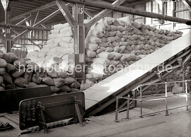 Historische Motive, Arbeit + Technik aus dem Hamburger Hafen. 492_73 Mit einem Frderband knnen die Scke auf die oberste Lage des Stapels transportiert werden. Dort wird das Lagergut von Arbeitern aufgenommen und auf dem hohen Stapel verteilt.Transportband im Lagerschuppen - Sackstapel; ca. 1934. 