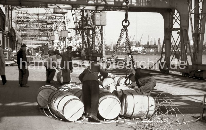 Historisches Bildmaterial zur Geschichte des Hamburger Hafens - Fsserverladung im Hamburger Oderhafen, Chilekai - Laderampe unter den Halbportalkranen; 1948. 523_0001 Hafenarbeiter schliessen das Transportnetz um eine Hieve Fsser, dann haken sie das Netz in die Kranhaken ein und die Ladung wird an Bord des Frachtschiffs gebracht. Im Hintergrund rollen Arbeiter die Holzfsser von Hand auf die Rampe und in das ausgebreitete Netz.. Weit berspannen die Halbportalkrane die Kaianlage am Chilekai des Hamburger Oderhafens.