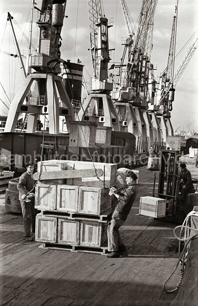 Geschichte der Technik im Hafen - Fotoarchiv der HHLA. Gabelstapler und Paletten mit Kisten im Sdwesthafen; ca. 1954. 565_4 Zwei Hafenarbeiter legen das Ladegeschiff an eine Palette mit Kisten an  - im Hintergrund fahren zwei Gabelstapler mit ihrer Ladung ber die Laderampe am Togokai des Hamburger Sdwesthafens. Zwischen den Kranen und der Rampe stehen die teilweise beladenen Gterwaggons zweier Zge auf den Gleisen. 