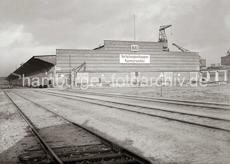 Historische Bildmaterial aus dem Bildarchiv der Hamburger Hafen und Logistik AG. Verteilungsschuppen 60 am Kamerunkai des Sd-West-Hafens.  15_637a Blick auf den Verteilungsschuppen 60 am Kamerunkai - auf den Gleisen vor der Laderampe stehen geschlossene Gterwagons auf den Gleisen. Rechts die Krane an der Kaianlage des Hafenbeckens.