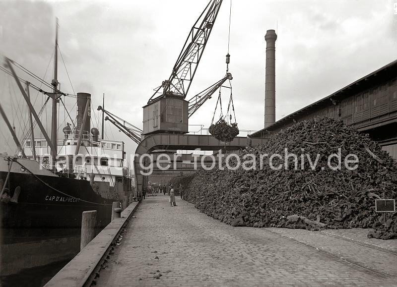 Historische Fotografien zur Geschichte des Hamburger Hafens. Die Ladung eines Frachters mit Farbhlzern wird im Hafen Hamburgs  gelscht. 691_149 Die Krne am Hafenkai lschen eine Ladung Farbhlzern im Hamburger Hafen - in einem Netz hievt der Kran das Holz an Land und stapelt es auf dem Hafenkai. Ein Kaiarbeiter steht oben auf dem Holzberg und nimmt die Hieve in Empfang und ffnet das Netz.
