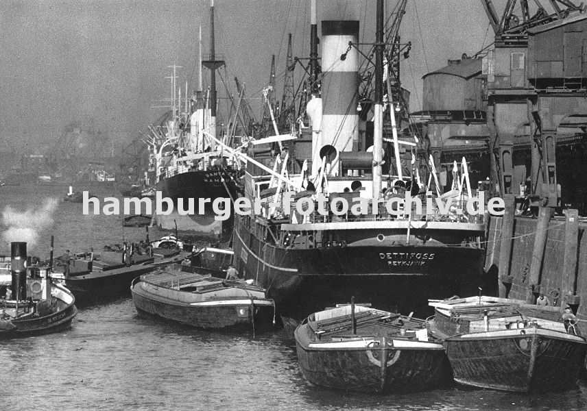 0953996 An der Kaianlage des Auguste Victoria Kais im Kaiser-Wilhelm-Hafen liegen Dampffrachter; Krne lschen die Ladung oder beladen die Schiffe. Auf der Wasserseite der Frachtschiffe haben Schuten fest gemacht - sie werden ber das bordeigenes Geschirr der Frachter beladen. Ganz links ein Schlepper, der eine Schute an ihre Position bringt. Links im Hintergrund die Stirnseite des Kaiser-Wilhelm-Hafens mit dem Reiherkai. 