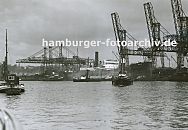 0954008 Hamburg Fotos - Bilder vom Hamburger Hafen -  Im Hamburger Kohlehafen liegen die Kohlefrachter am Kai; die Ladung wird ber weit ausladende Krananlagen gelscht. iDie Ausleger der vorderen Krne sind hochgefahren - die Ladearbeiten sind beendet, Schlepper bereiten das Auslaufen des Schiffes vor. Links im Hintergrund Blick ber die Elbe nach Altona - der Kirchturm der Christianskirche ist zu erkennen.